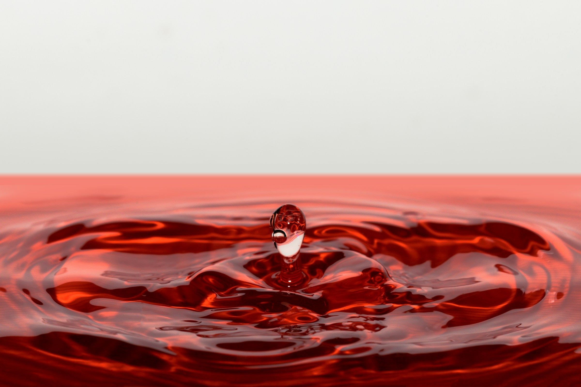 What If Your Next Horror Fiction Obsession Was Porcelain Agnès Maelström