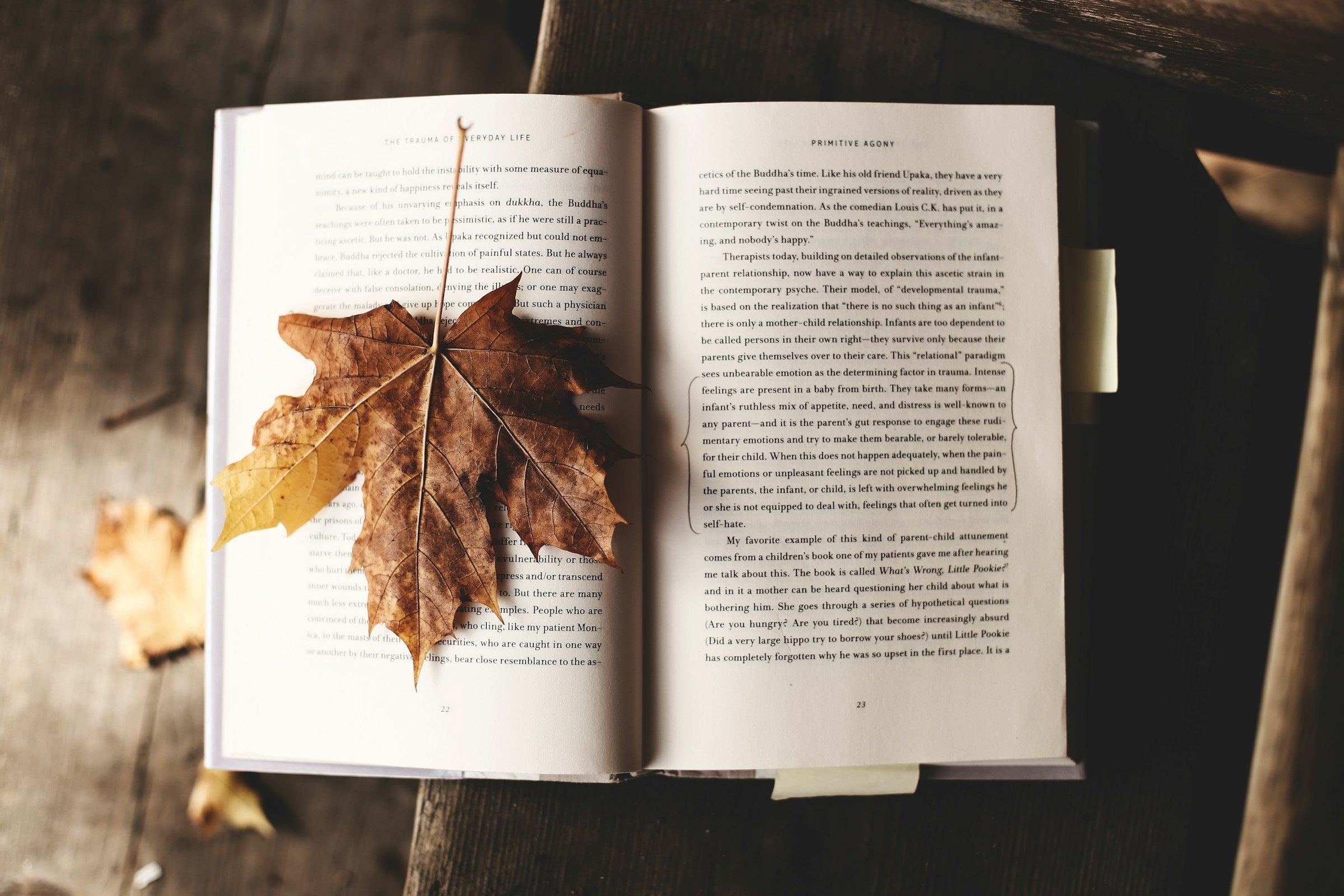 Bibliotherapy: Engaging Group and Creative Activities Agnès Maelström Porcelain Novel