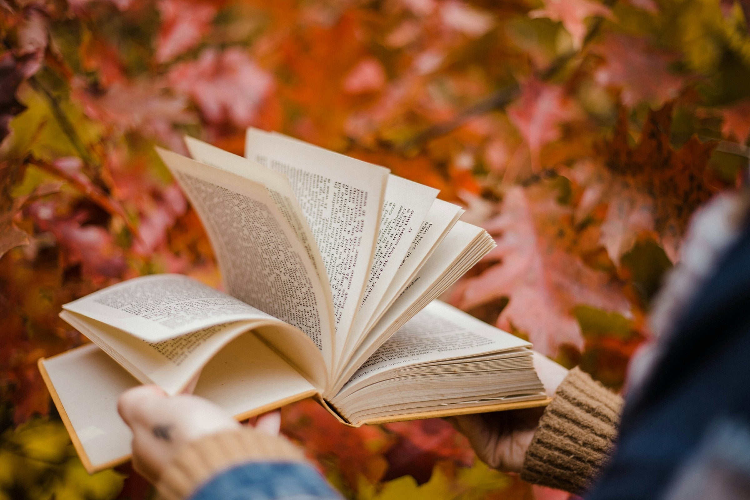 Bibliotherapy: Real-Life Case Studies and Success Stories Agnès Maelström Porcelain Novel