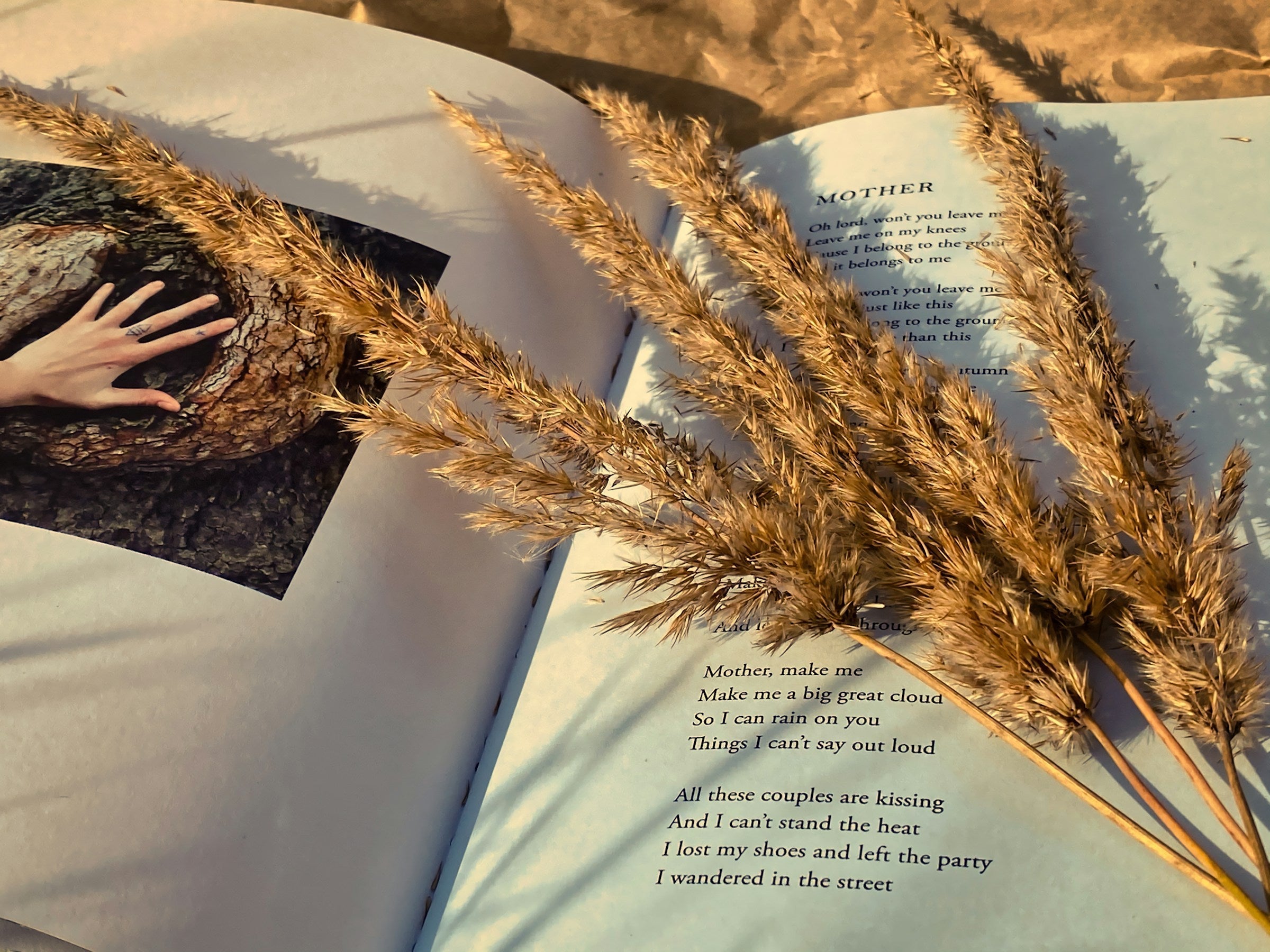 Bibliotherapy for Stress: Finding Relief Through Reading Agnès Maelström Porcelain Novel