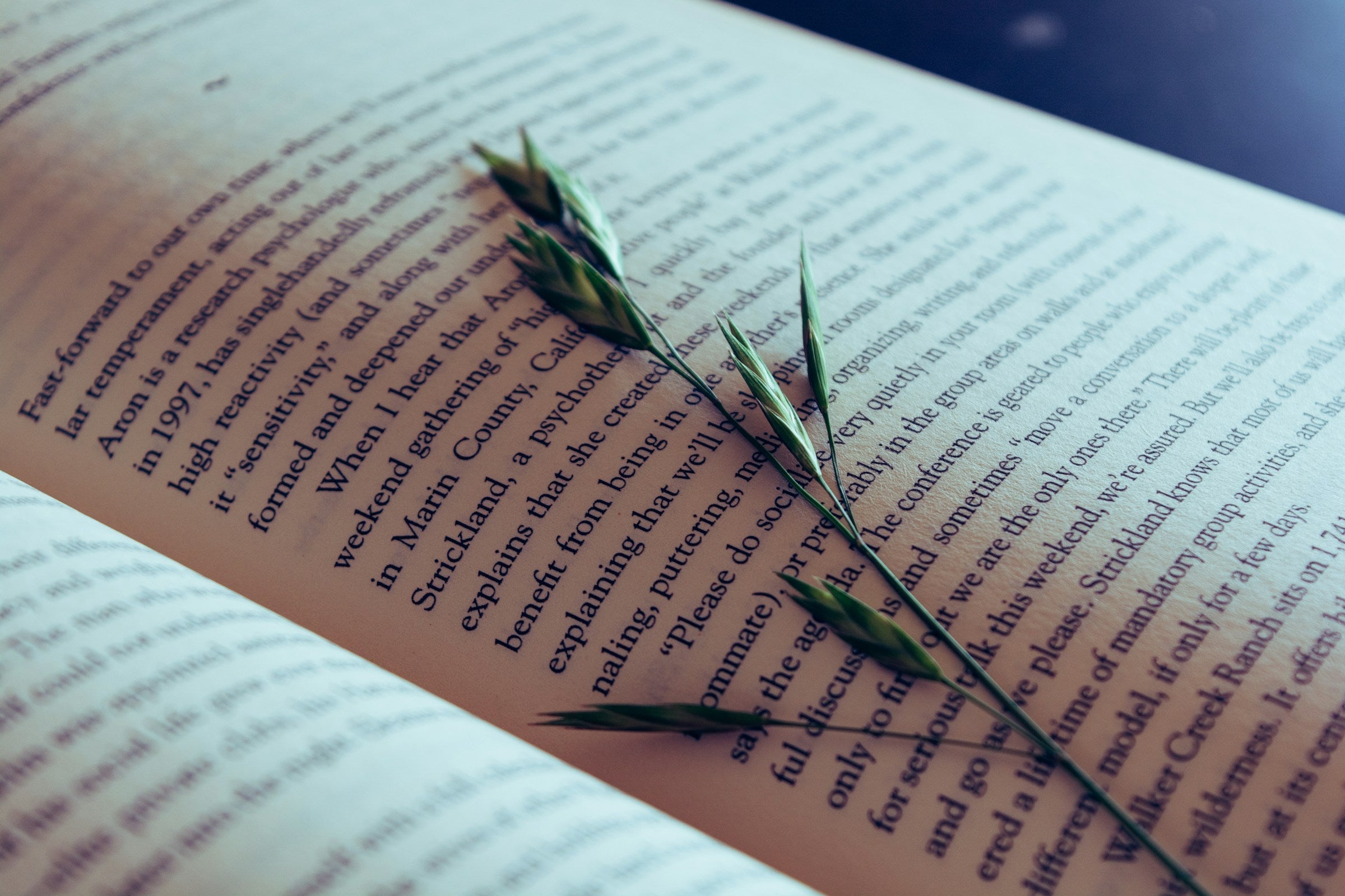 Children’s Bibliotherapy: Books that Build Empathy and Resilience Agnès Maelström Porcelain Novel