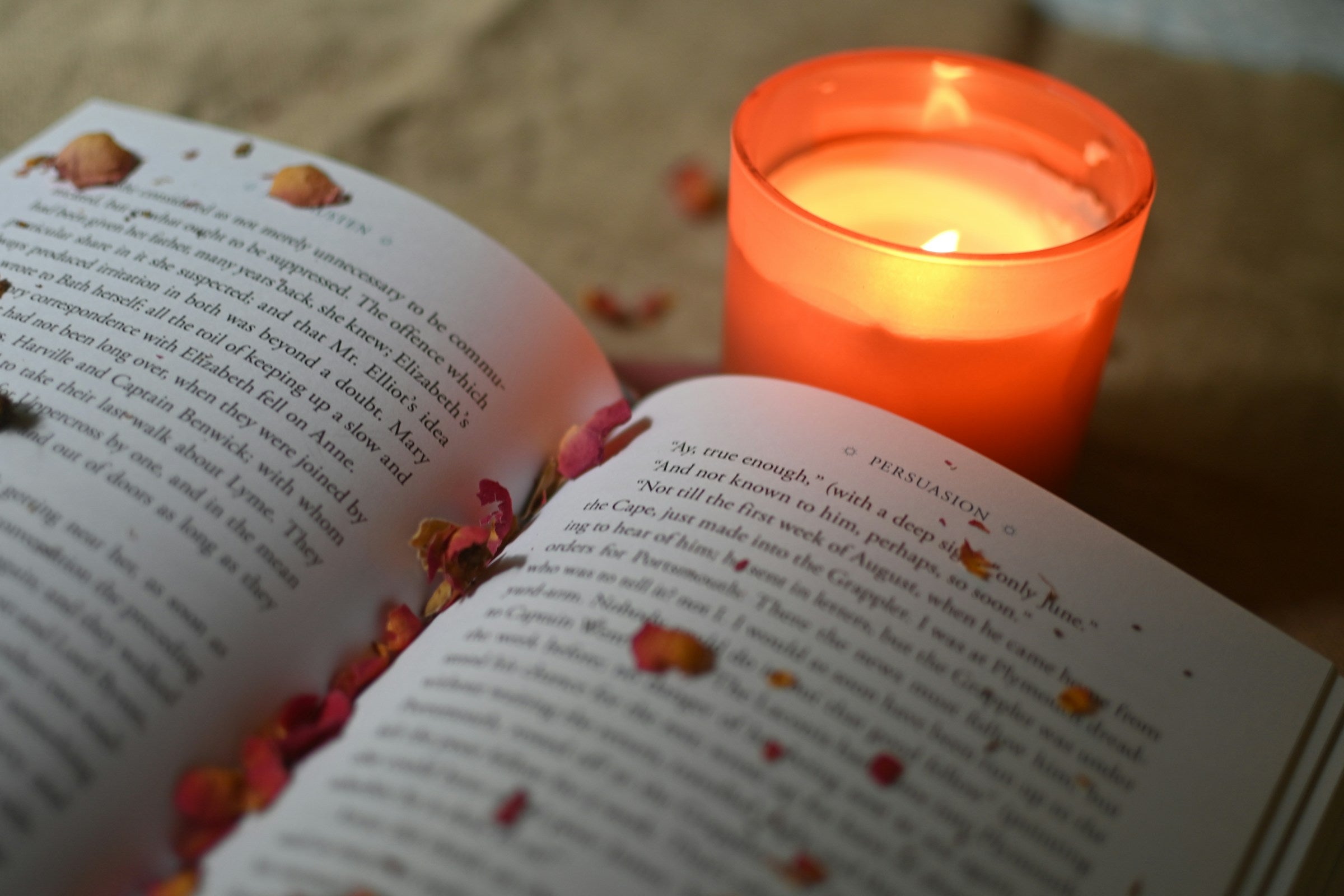 Bibliotherapy what is it? Understanding “Book Therapy” Agnès Maelström Porcelain Novel Horror