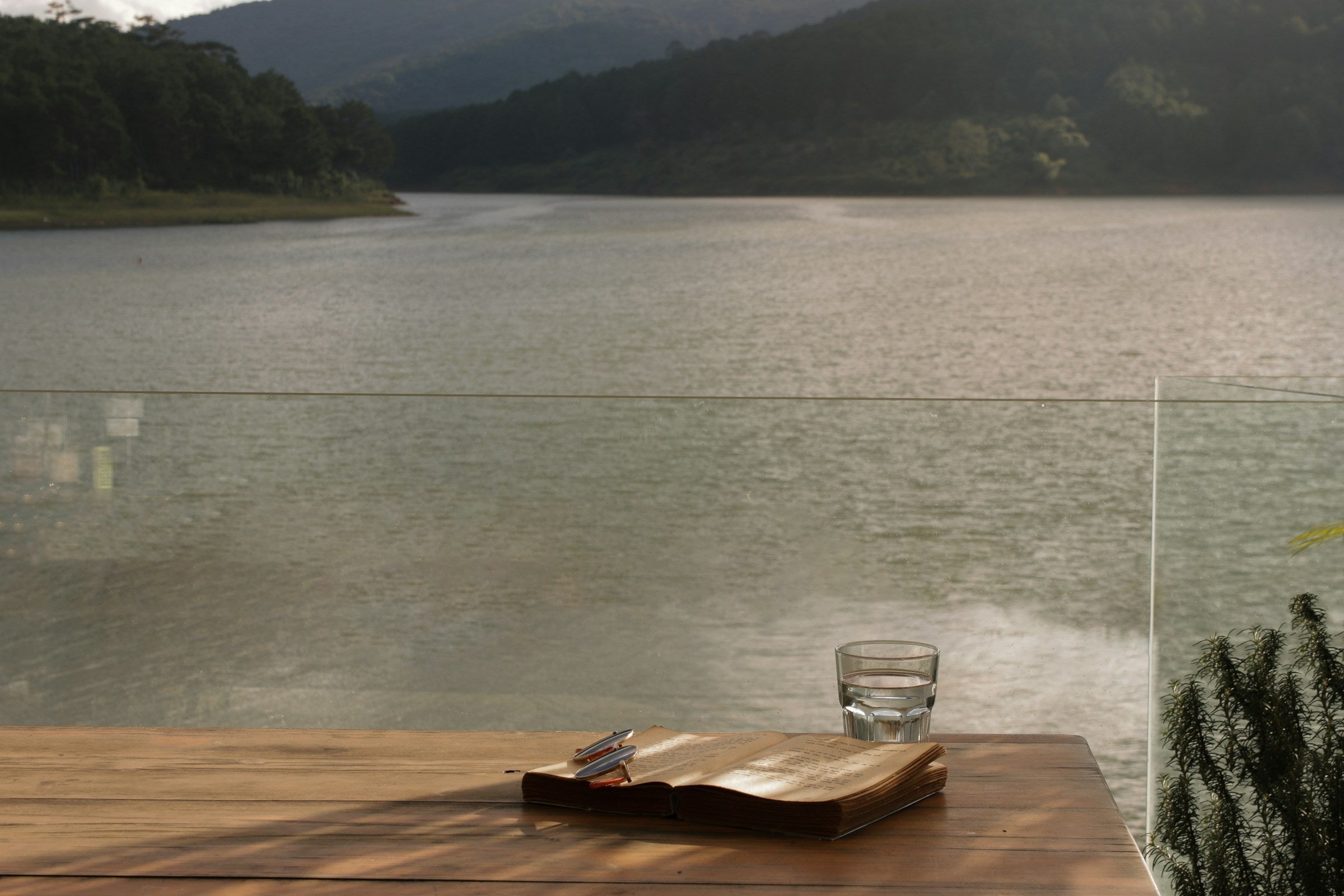 The Transformative Benefits of Bibliotherapy for Mental Health Agnès Maelström Porcelain Novel