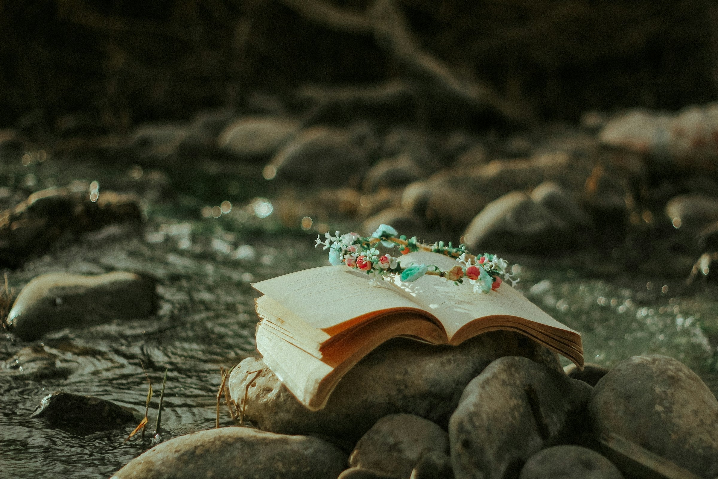 How Bibliotherapy Works: The Science of Reading and HealingHow Bibliotherapy Works: The Science of Reading and Healing Agnès Maelström Porcelain Novel