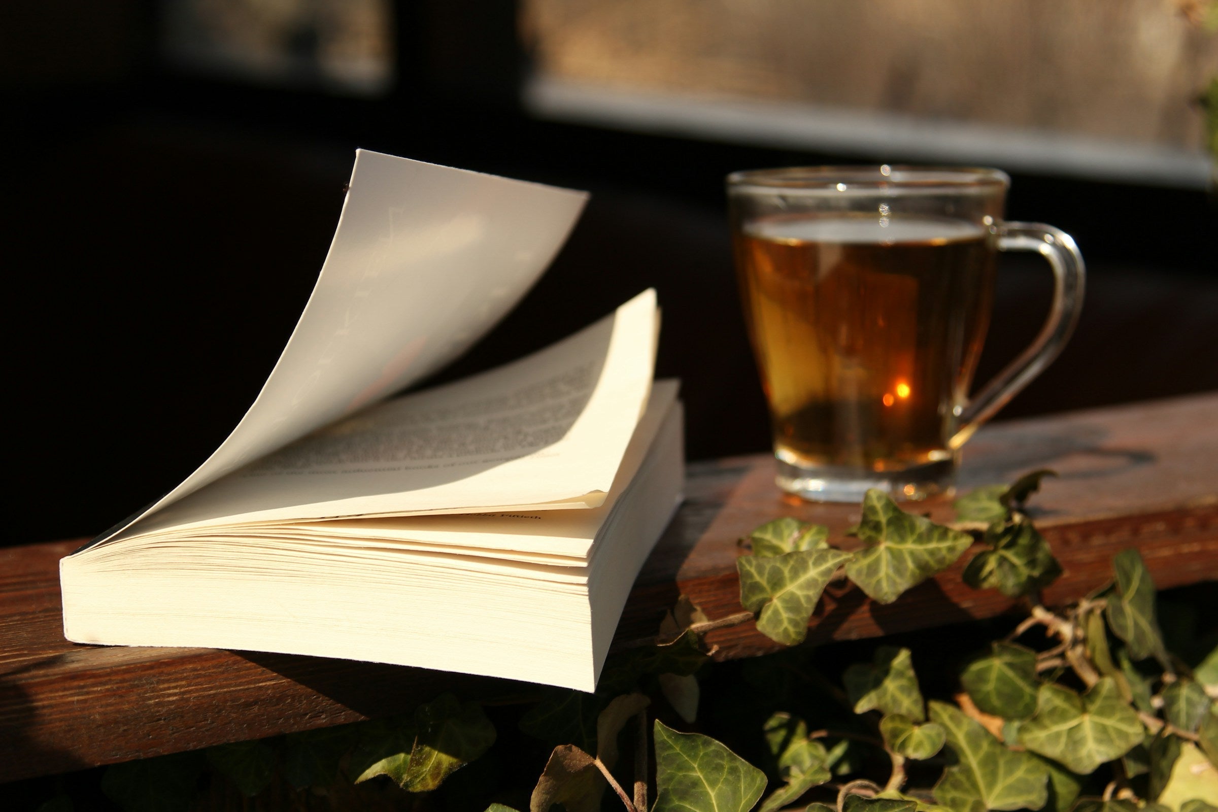 Bibliotherapy for Depression: Finding Hope in Stories Agnès Maelström Porcelain Novel
