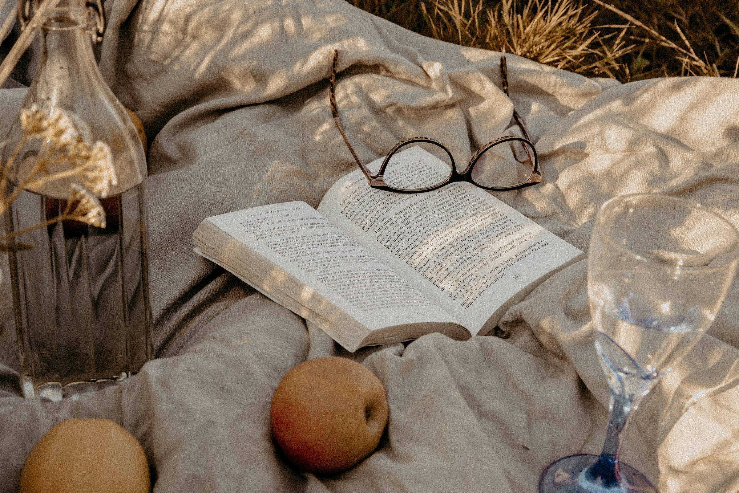Bibliotherapy : Exploring the History and Theory Agnès Maelström Porcelain Novel Horror