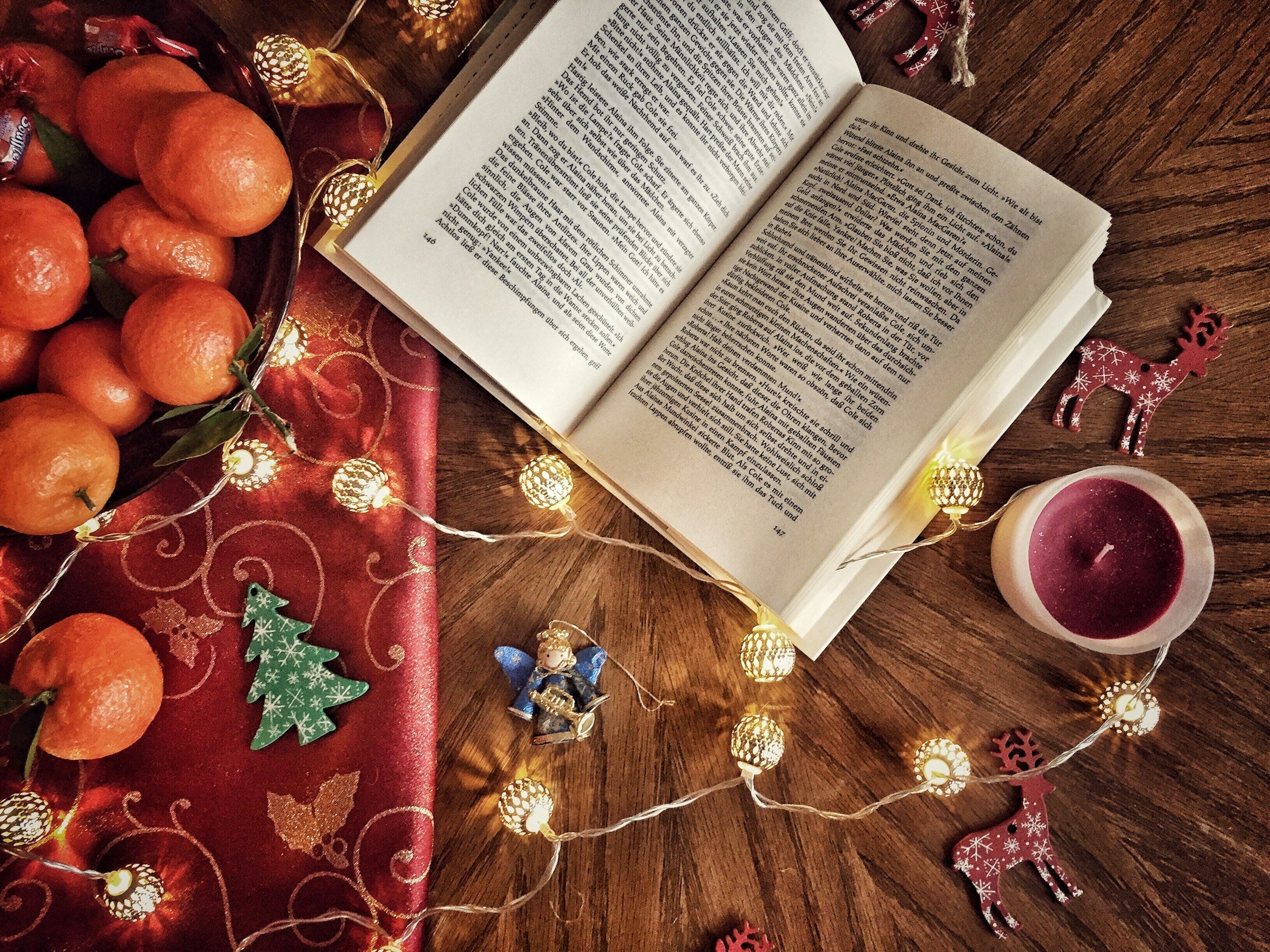 Using Bibliotherapy to Reconnect During the Holidays Agnès Maelstrom Porcelain Novel
