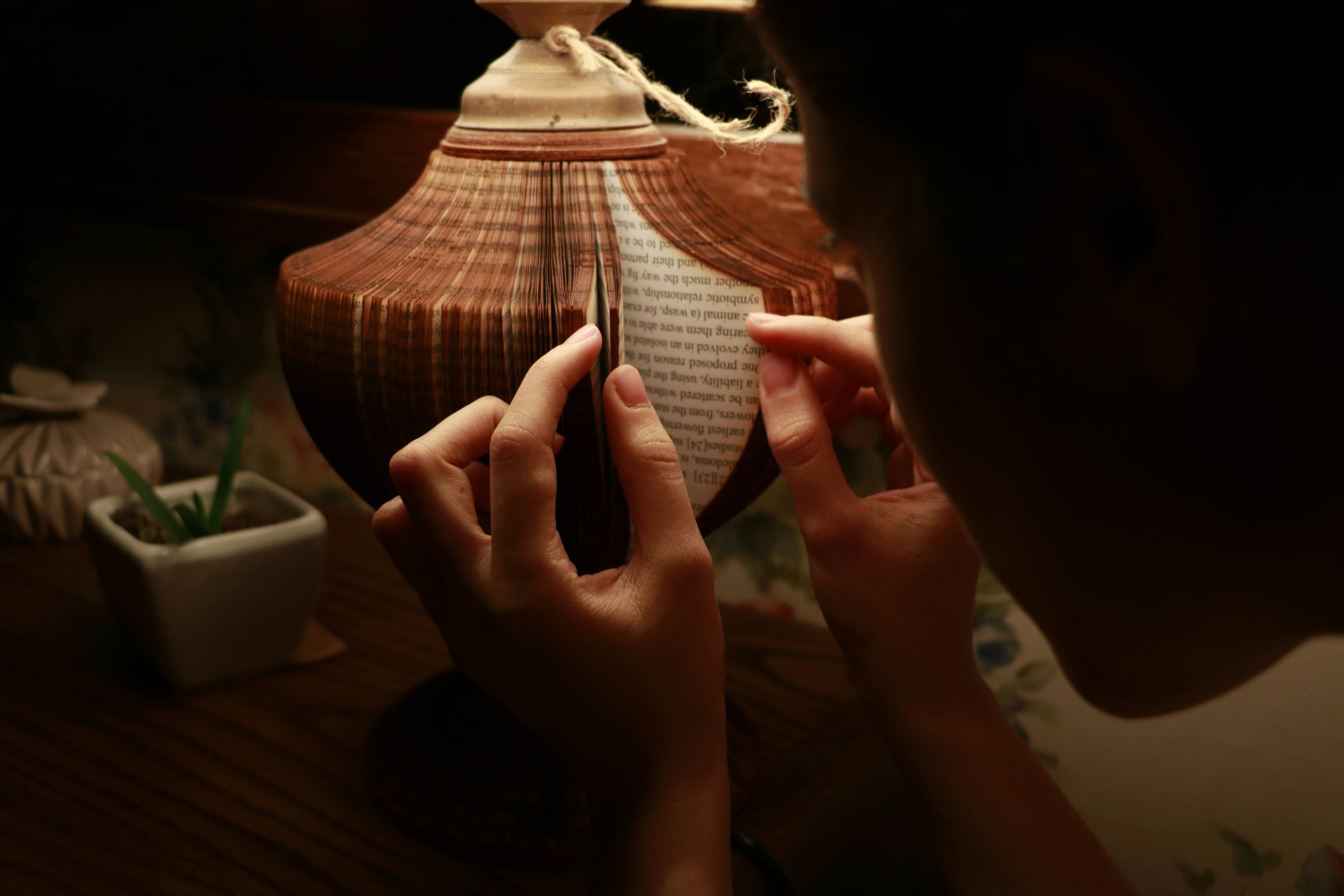 Bibliotherapy for Queer, Questioning, and Quietly Brave Agnès Maelström Porcelain Novel