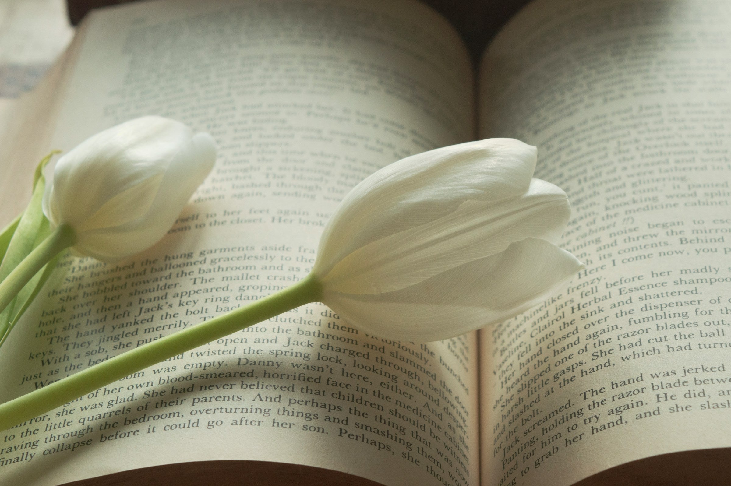 From Chaos to Clarity: Bibliotherapy Helps You Calm Your World Agnès Maelström Porcelain Novel