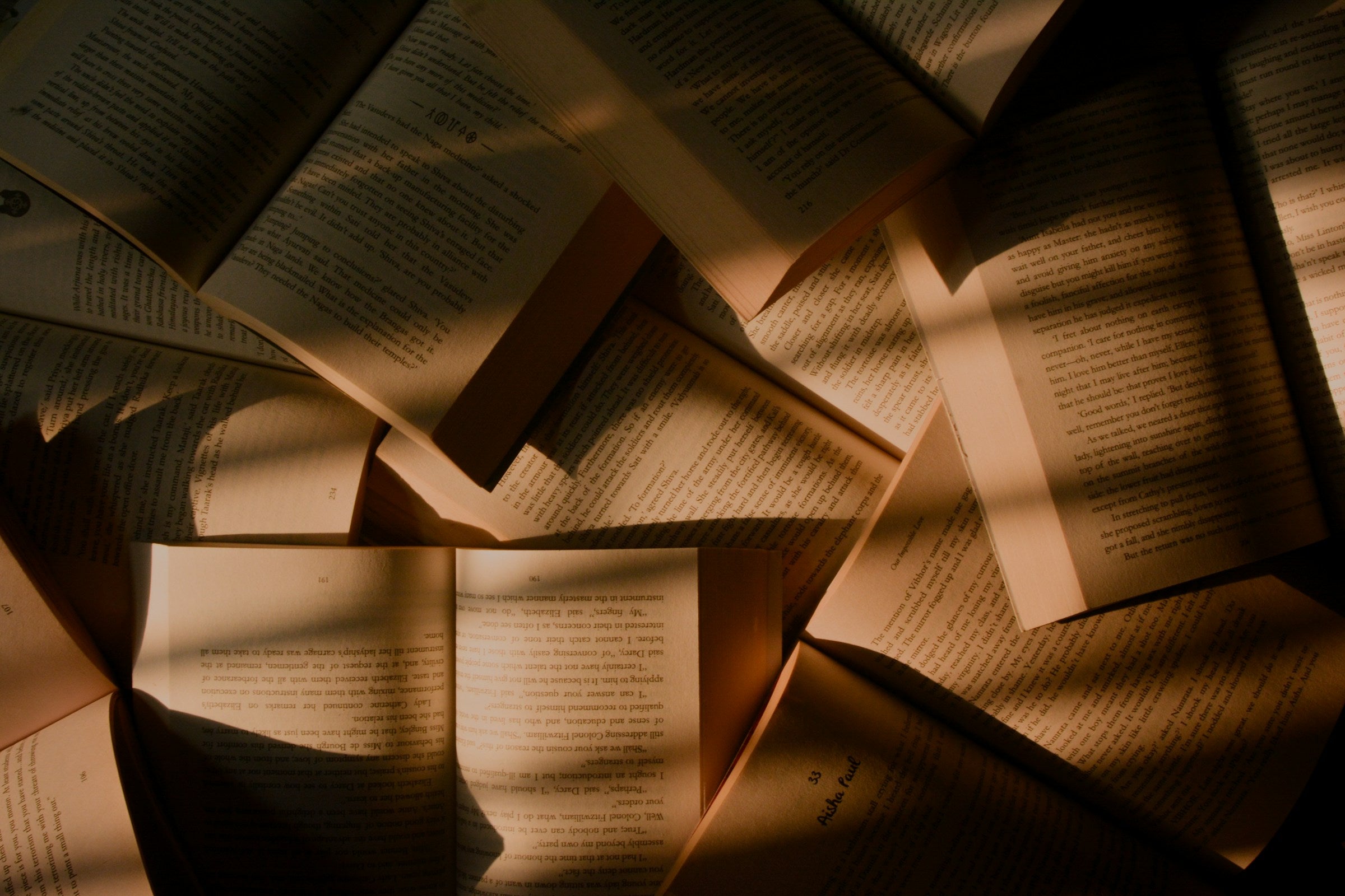 Healing Isn’t Linear: How Bibliotherapy Can Help You Keep Going Agnès Maelström Porcelain Novel