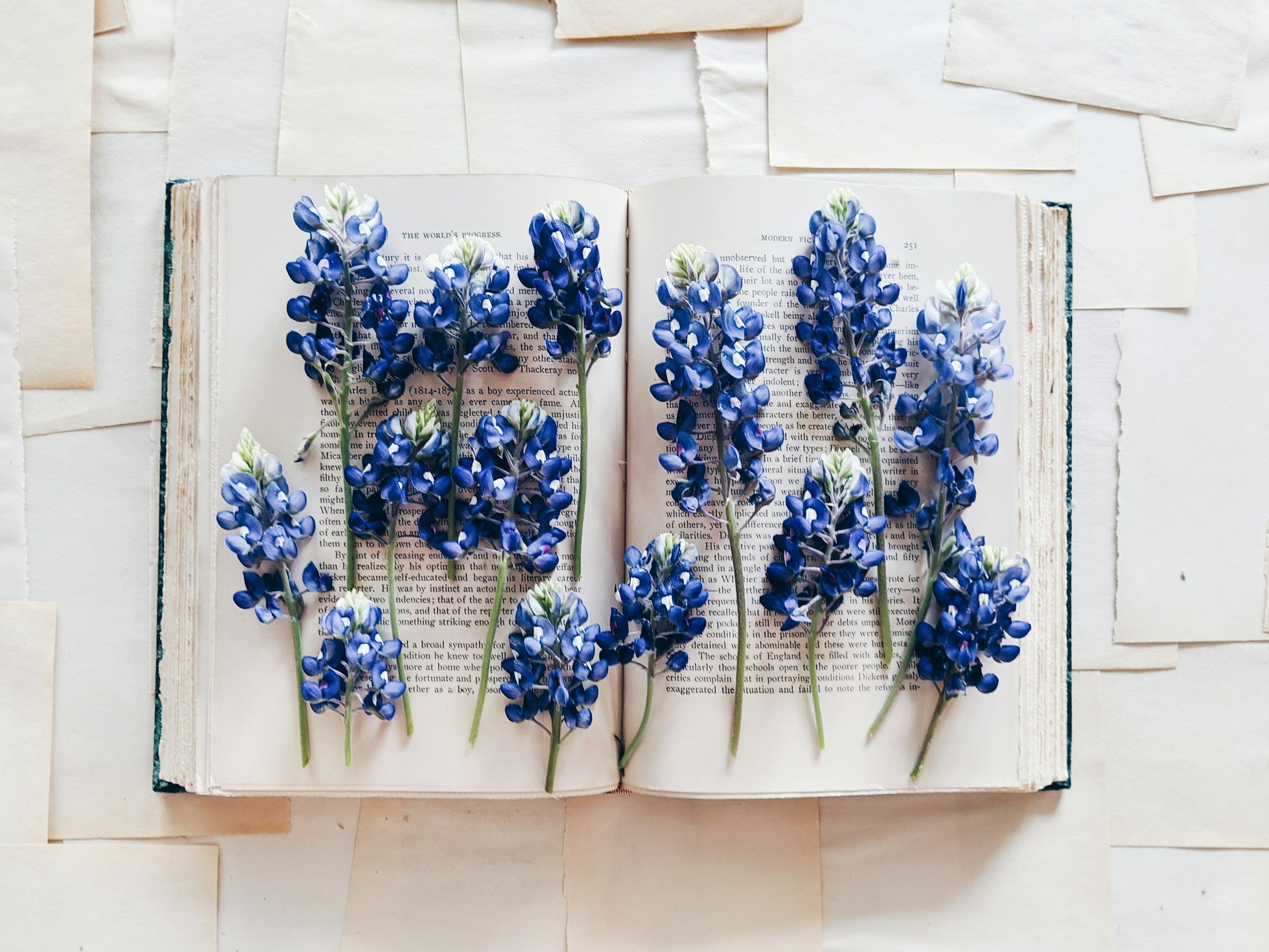 How Bibliotherapy Fits a Summer of Self-Discovery Agnès Maelström Porcelain Novel
