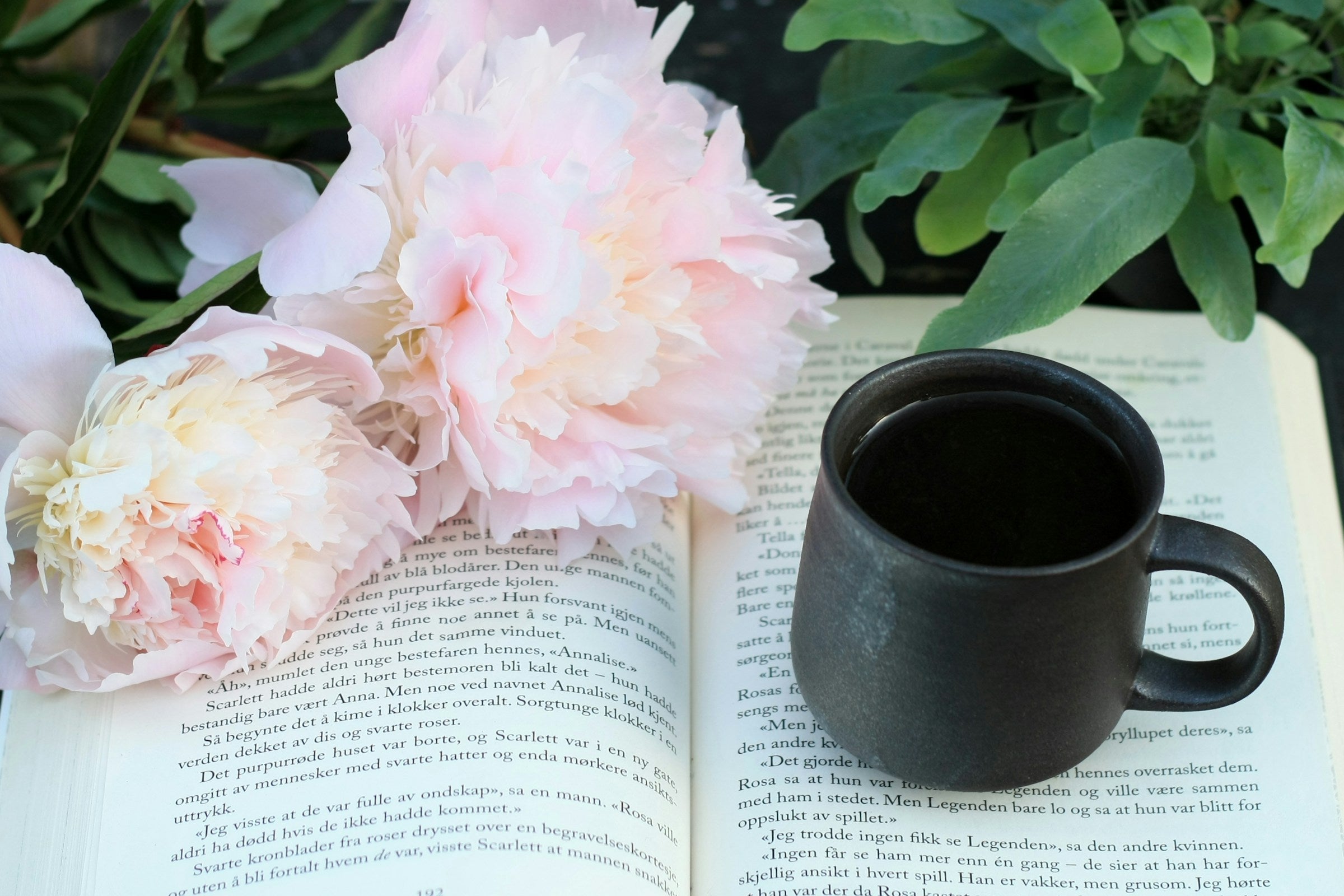 Bibliotherapy: Using Story to Heal Mid-Year Exhaustion Agnès Maelström Porcelain Novel