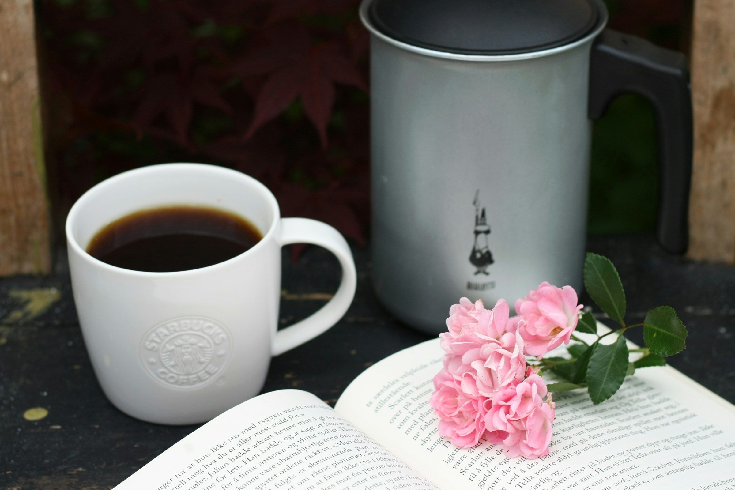 Bibliotherapy for Parents: Creating Emotional Space with Kids Agnès Maelström Porcelain Novel