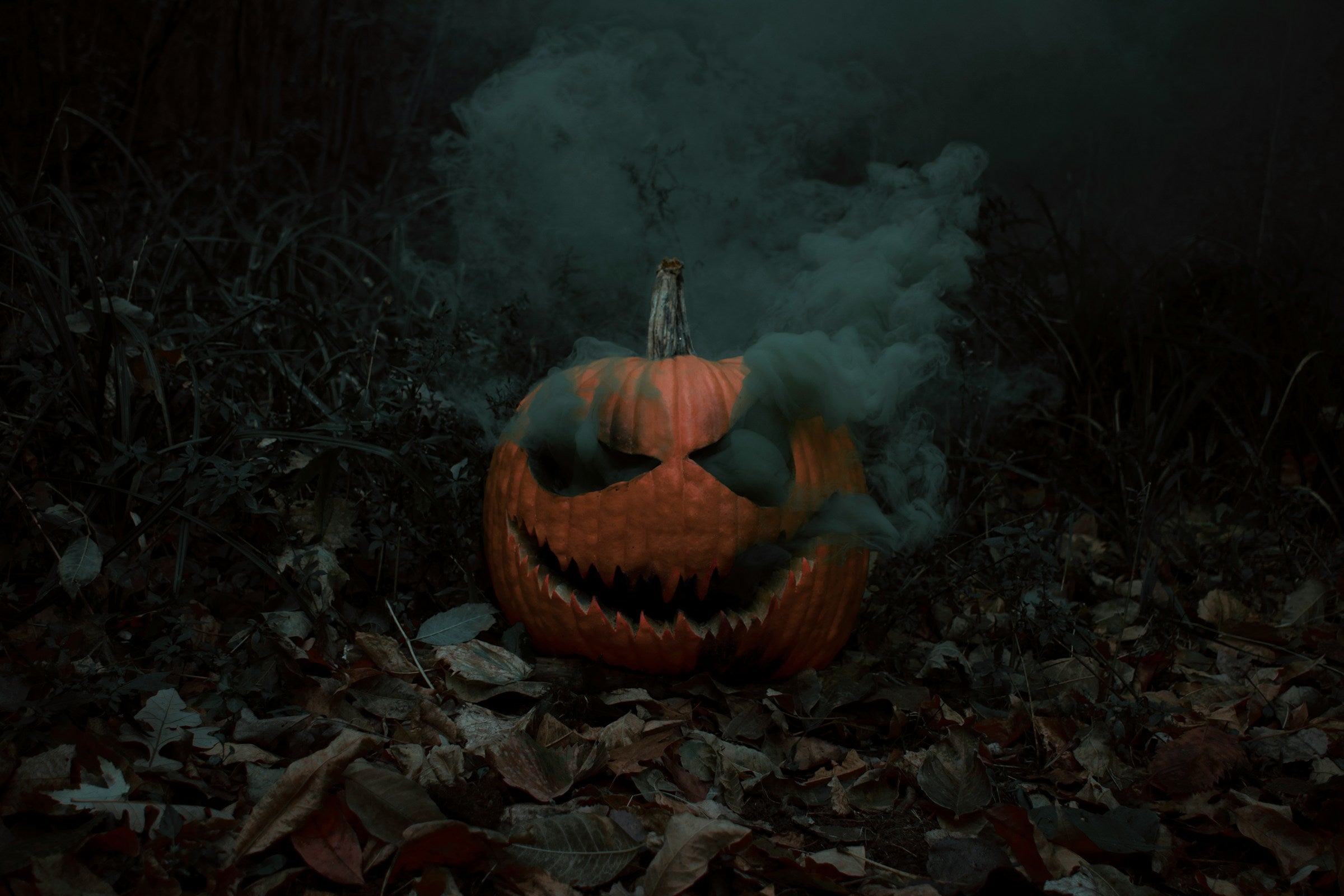 Terror Tales and Tranquil Flames: Vegan Soy Wax Candles for Horror Boo ...